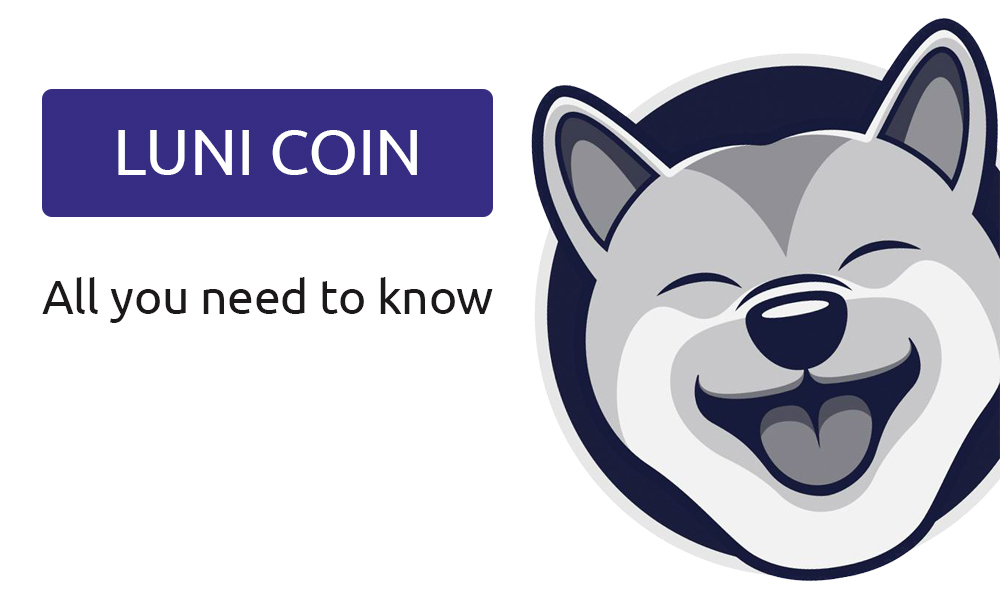 Read more about the article What is Luni coin: Important projects that you need to know in 2022